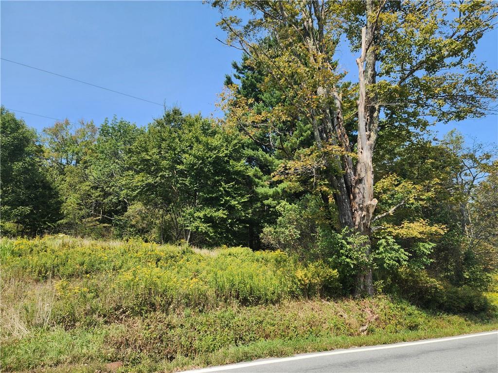 #2 photo, 231 County Road 92, Roscoe , NY 12776