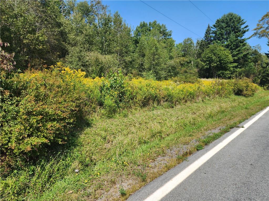 #3 photo, 231 County Road 92, Roscoe , NY 12776