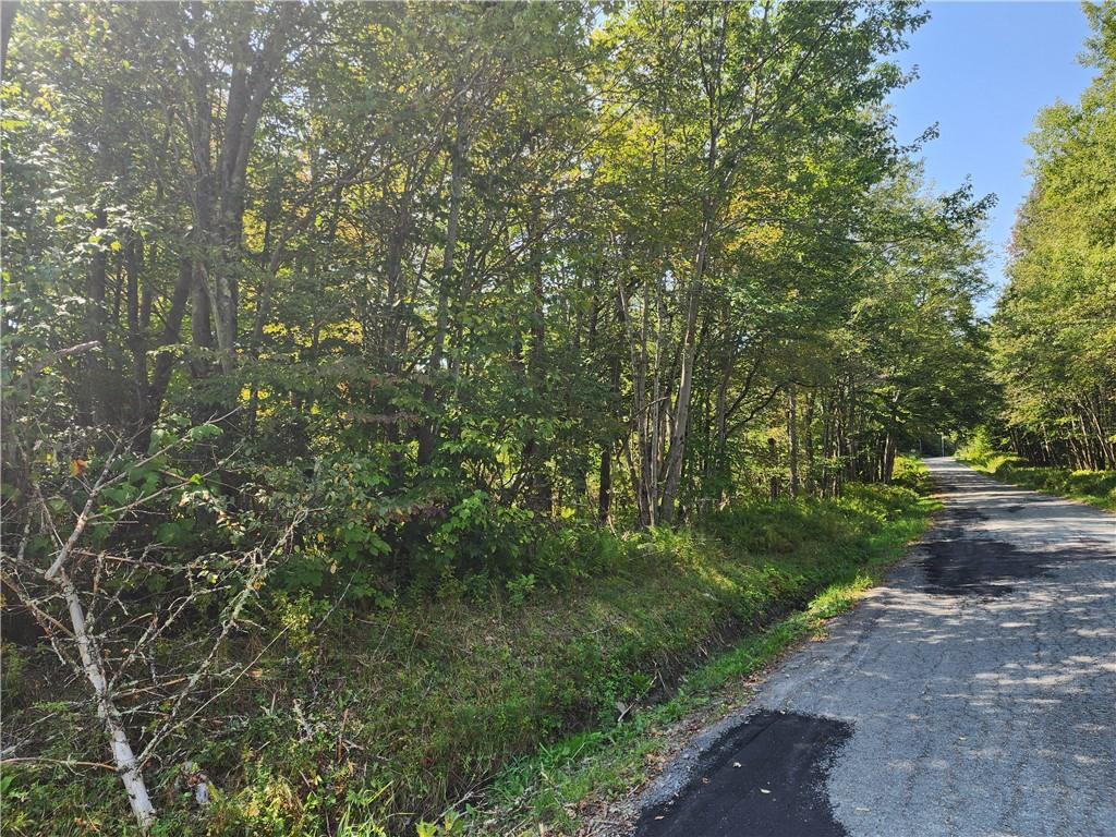 #4 photo, 231 County Road 92, Roscoe , NY 12776