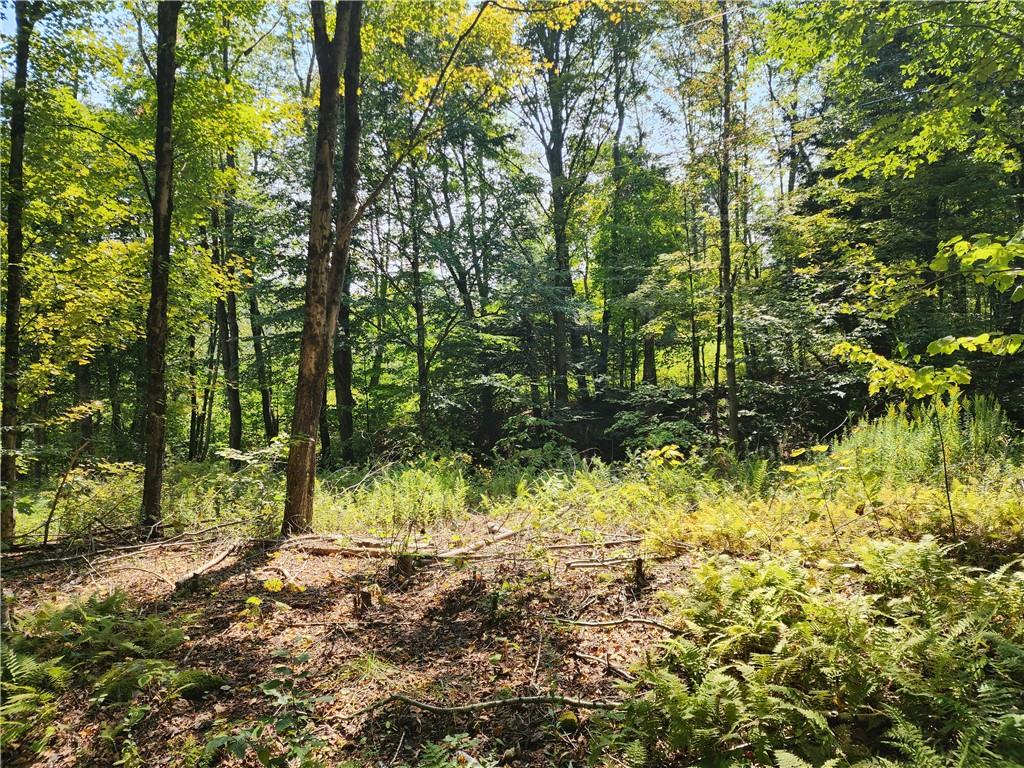 #5 photo, 231 County Road 92, Roscoe , NY 12776