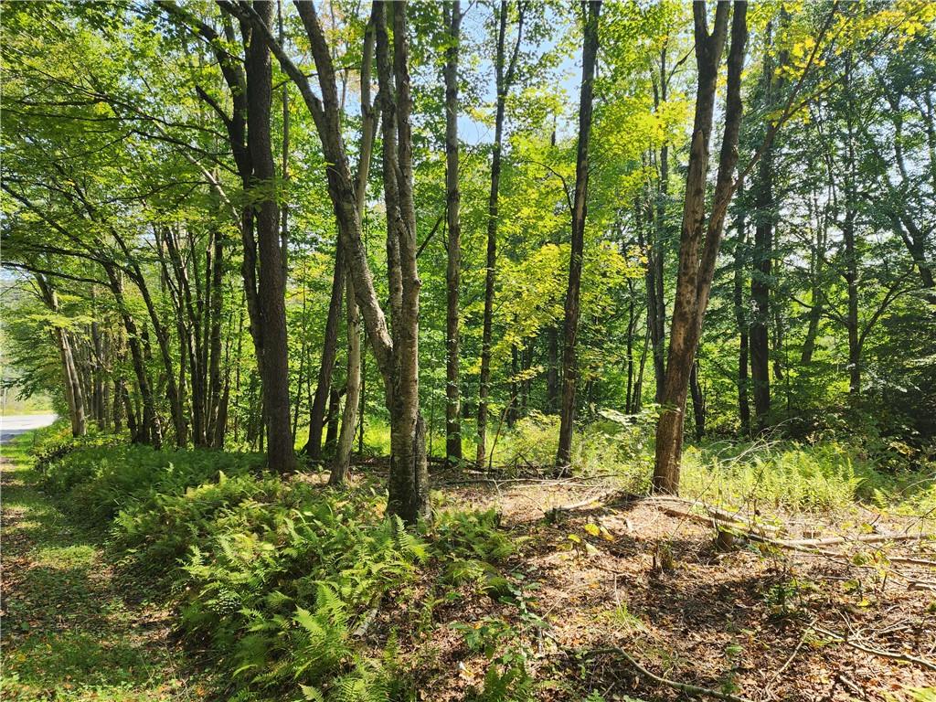 #6 photo, 231 County Road 92, Roscoe , NY 12776