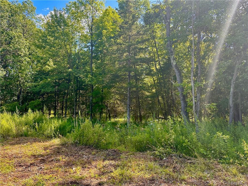 #2 photo, 32 Mountainside Drive, Chester , NY 10918