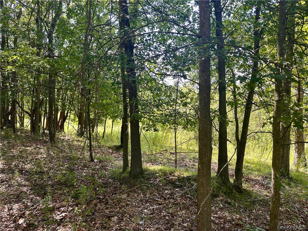 #3 photo, 32 Mountainside Drive, Chester , NY 10918