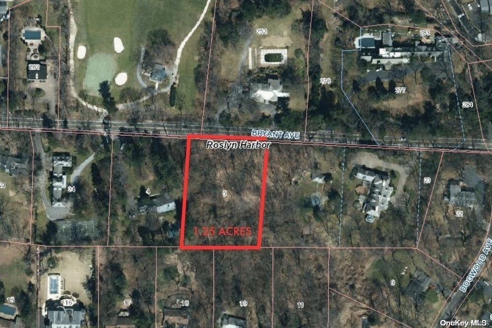 #3 photo, Lot 824 Bryant Avenue, 長島 罗斯林 Roslyn Harbor , NY 11576