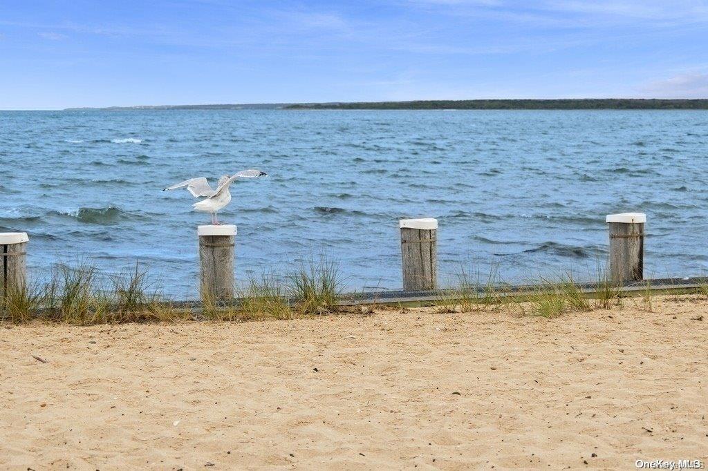 #12 photo, 53 Crassen Boulevard, サフォーク郡 Amagansett , NY 11930