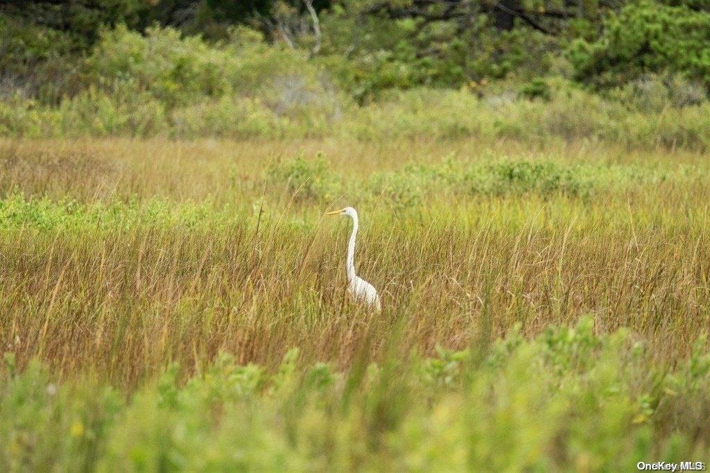 #15 photo, 53 Crassen Boulevard, サフォーク郡 Amagansett , NY 11930