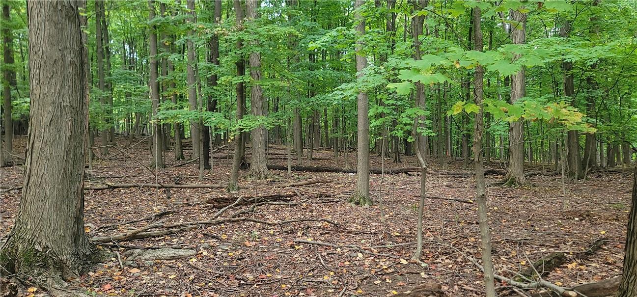 #2 photo, Lot 6 Bethlehem Road, New Windsor , NY 12553