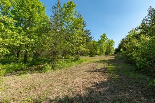 #6 photo, RT 55 / LAUER Road, Lagrangeville , NY 12540