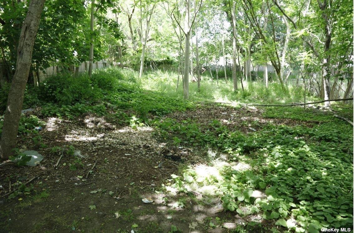 #6 photo, 39 Halsey Avenue, サフォーク郡 Southampton , NY 11968