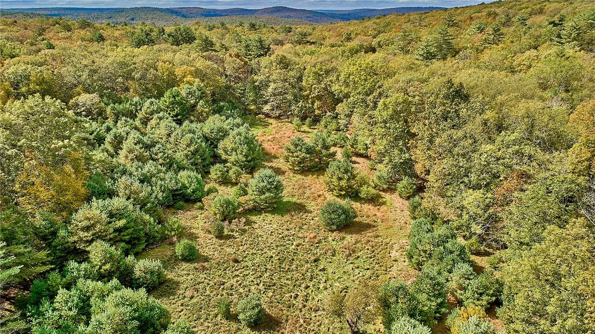 #2 photo, York Lake Road, Barryville , NY 12528