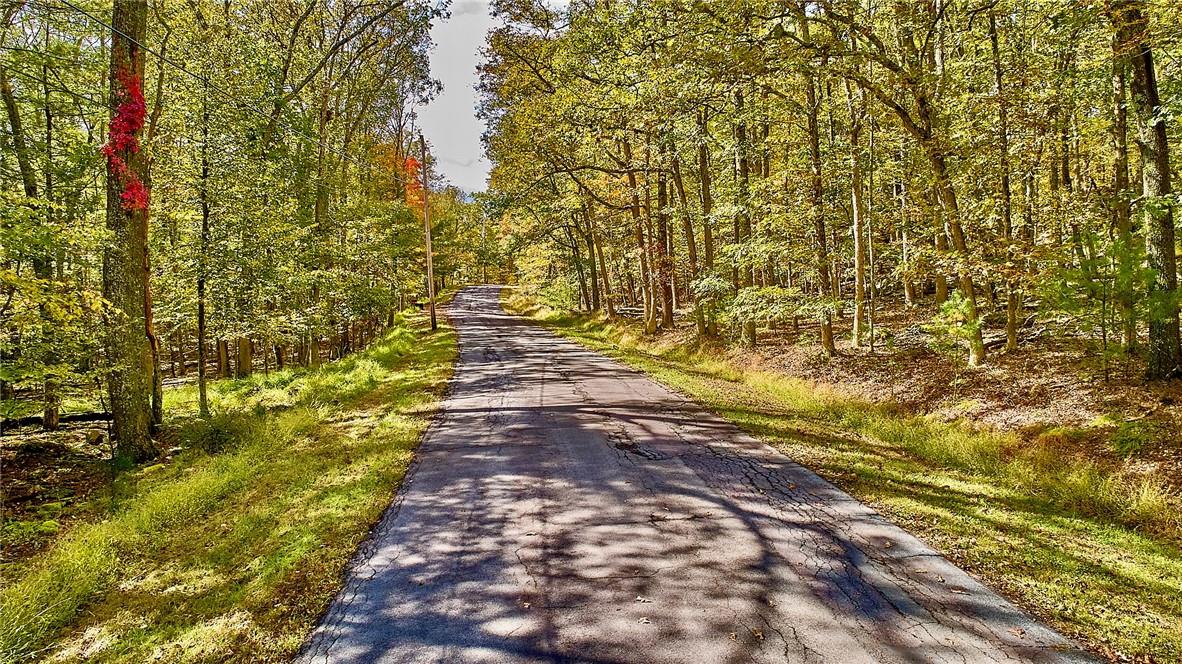 #4 photo, York Lake Road, Barryville , NY 12528