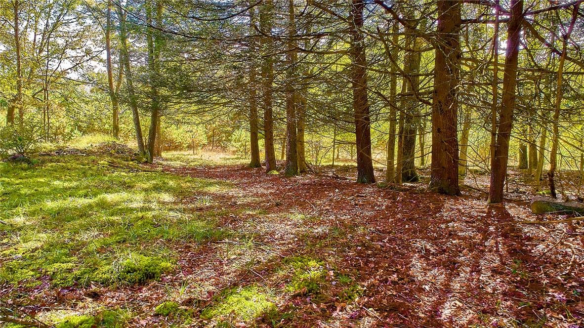 #5 photo, York Lake Road, Barryville , NY 12528