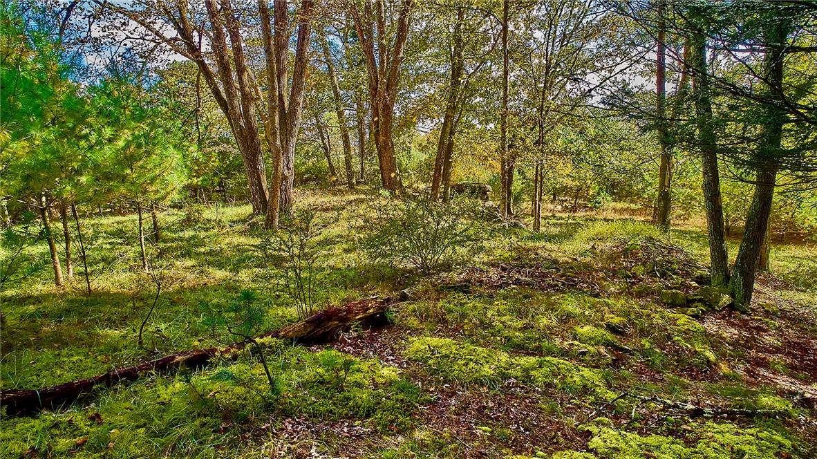 #6 photo, York Lake Road, Barryville , NY 12528