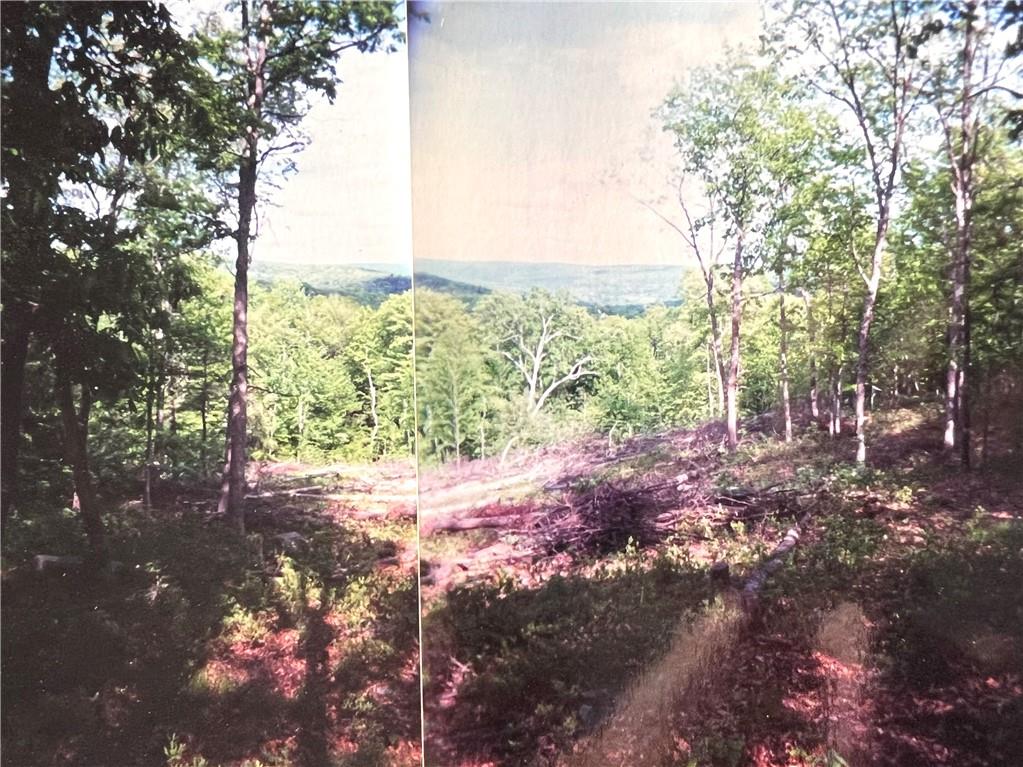 #7 photo, York Lake Road, Barryville , NY 12528