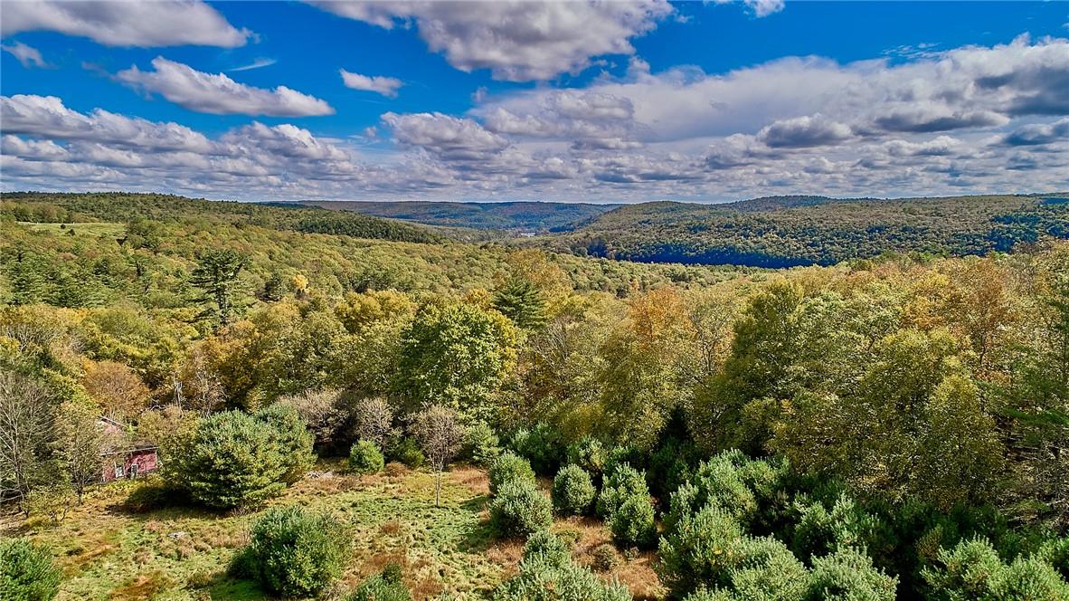 #8 photo, York Lake Road, Barryville , NY 12528