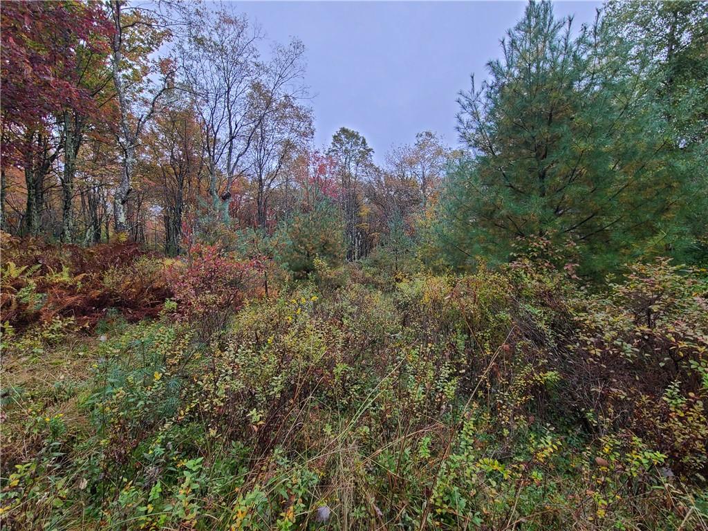 #10 photo, 116 Voss Road, Claryville , NY 12725