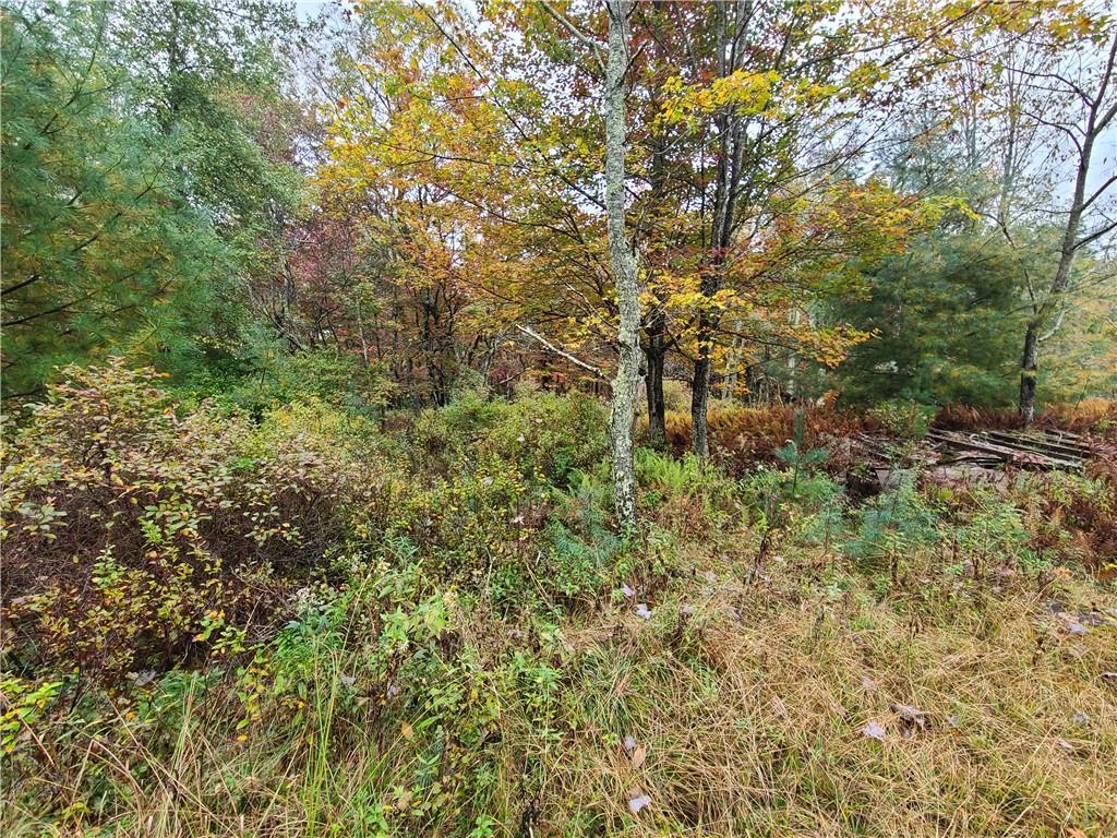 #11 photo, 116 Voss Road, Claryville , NY 12725