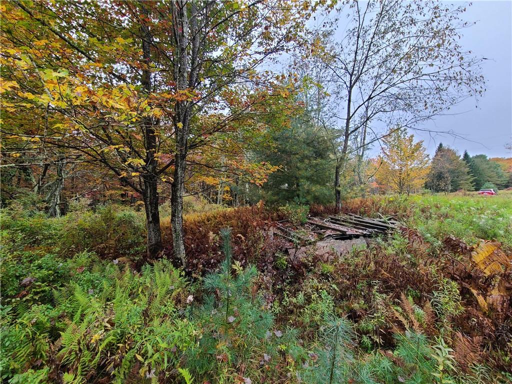 #12 photo, 116 Voss Road, Claryville , NY 12725