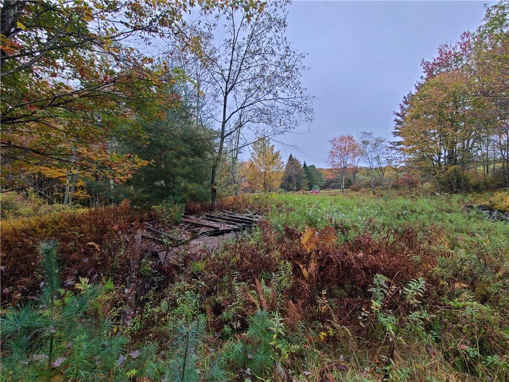 #13 photo, 116 Voss Road, Claryville , NY 12725