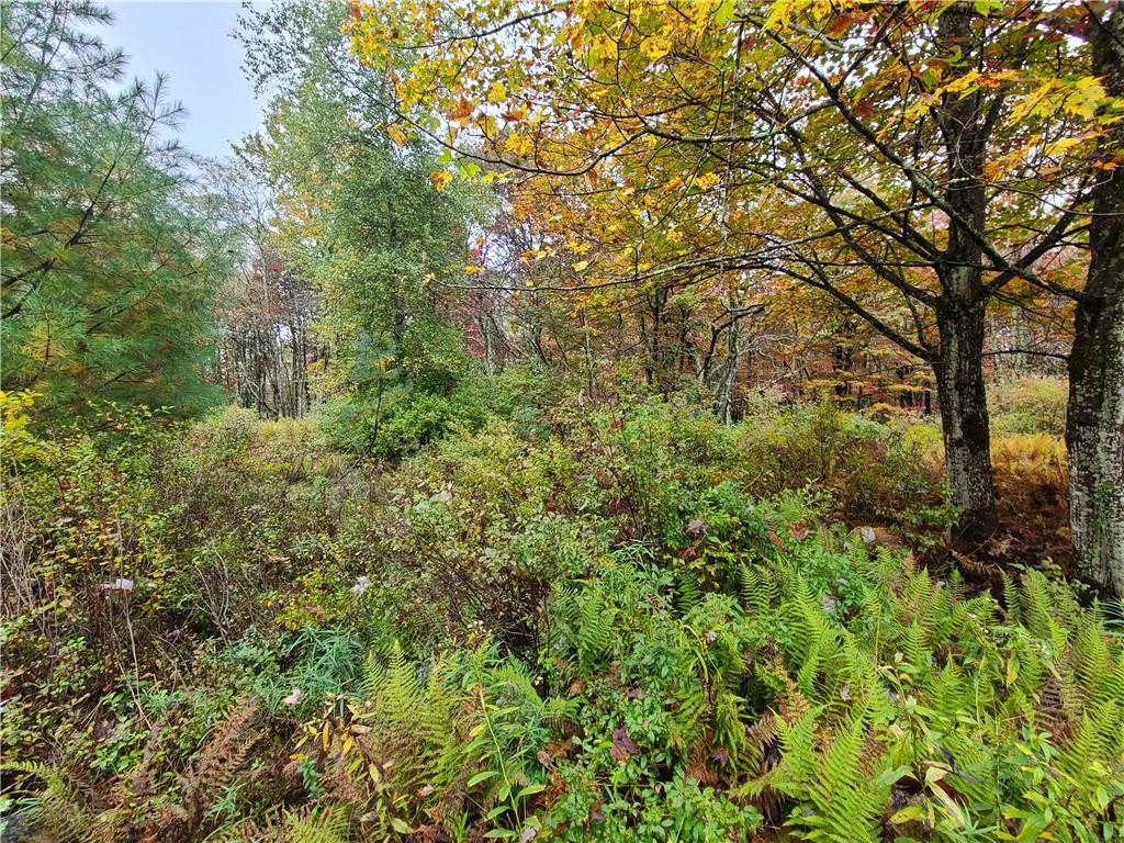 #14 photo, 116 Voss Road, Claryville , NY 12725