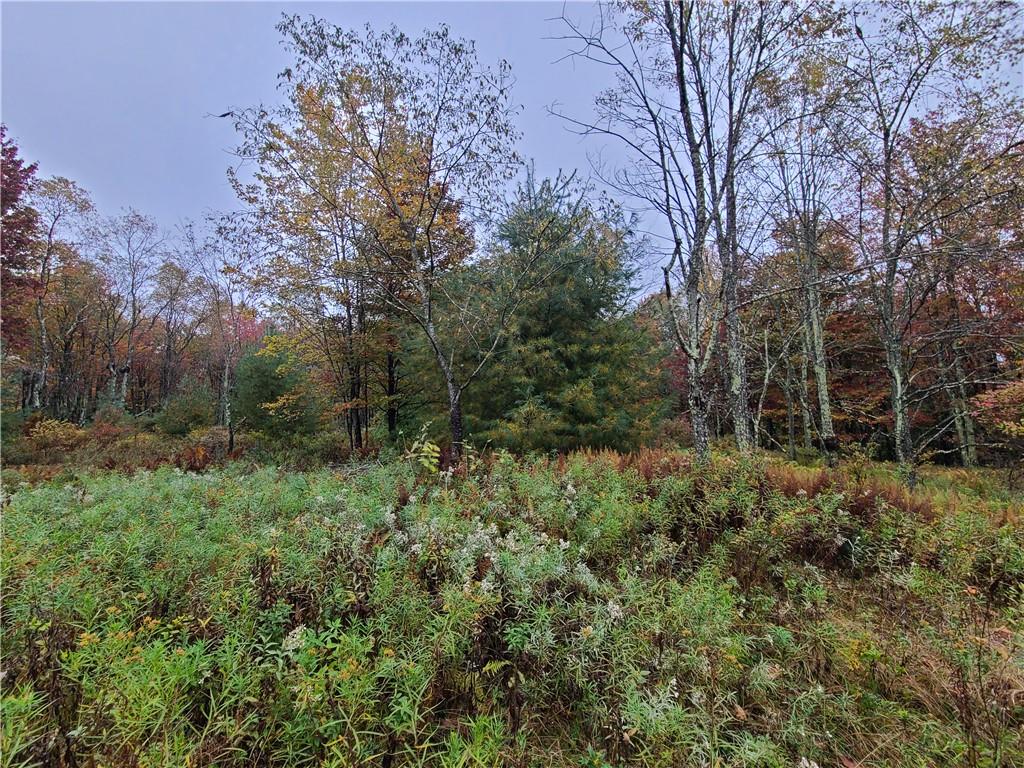 #15 photo, 116 Voss Road, Claryville , NY 12725