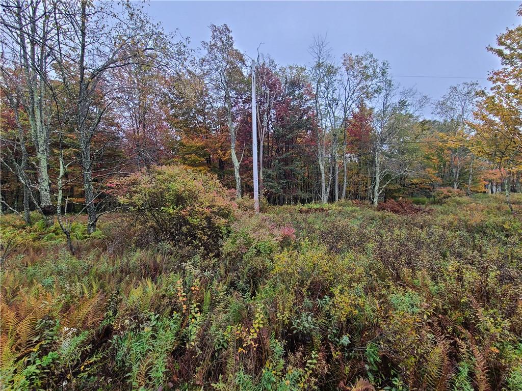 #17 photo, 116 Voss Road, Claryville , NY 12725