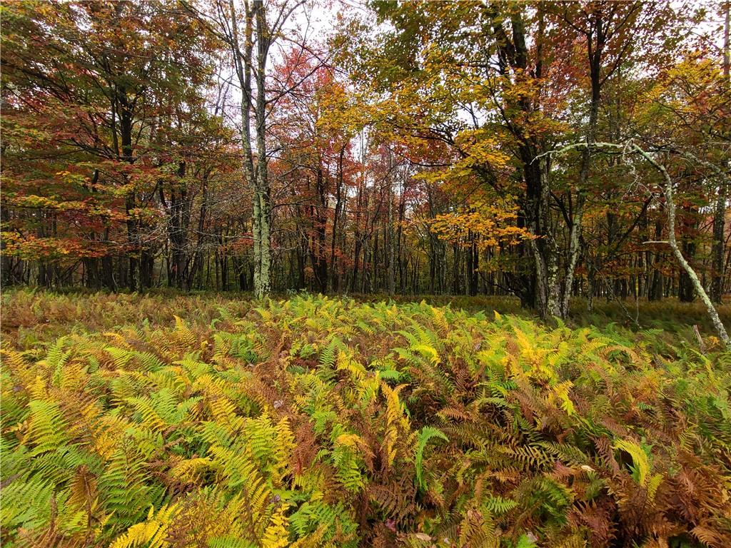 #19 photo, 116 Voss Road, Claryville , NY 12725