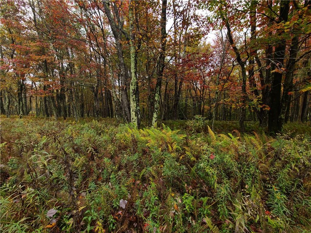 #20 photo, 116 Voss Road, Claryville , NY 12725