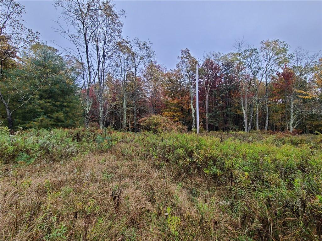 #3 photo, 116 Voss Road, Claryville , NY 12725