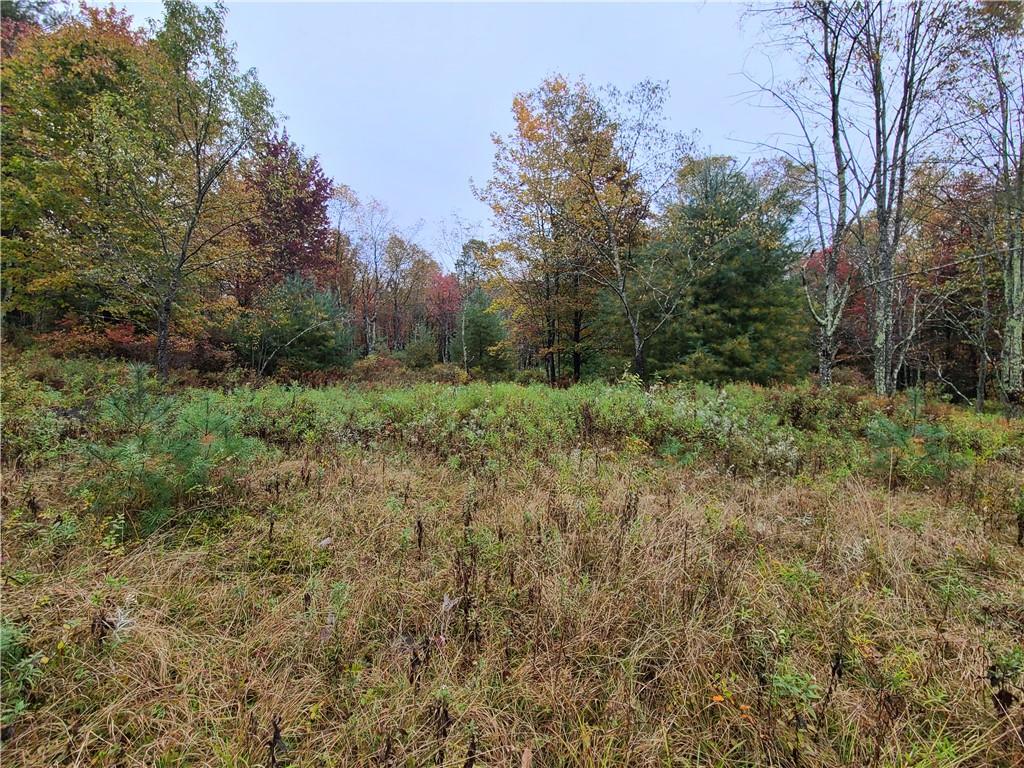 #4 photo, 116 Voss Road, Claryville , NY 12725