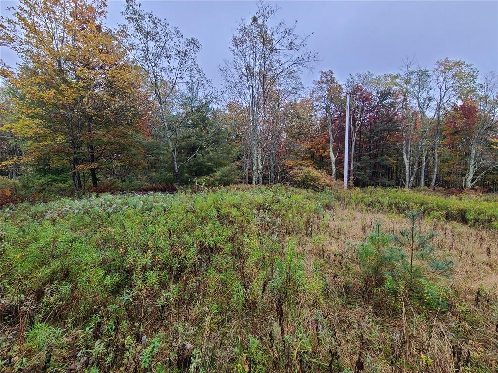 #6 photo, 116 Voss Road, Claryville , NY 12725