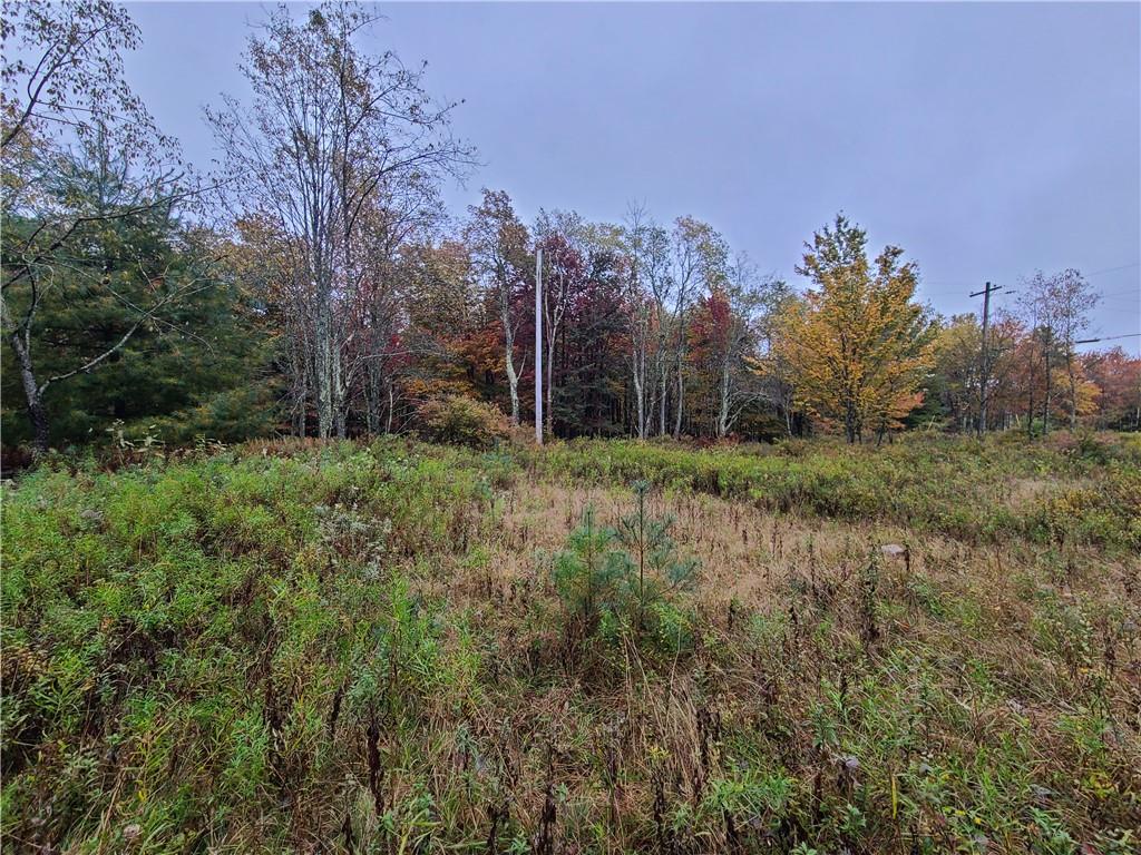 #7 photo, 116 Voss Road, Claryville , NY 12725