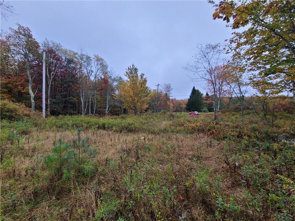 #8 photo, 116 Voss Road, Claryville , NY 12725