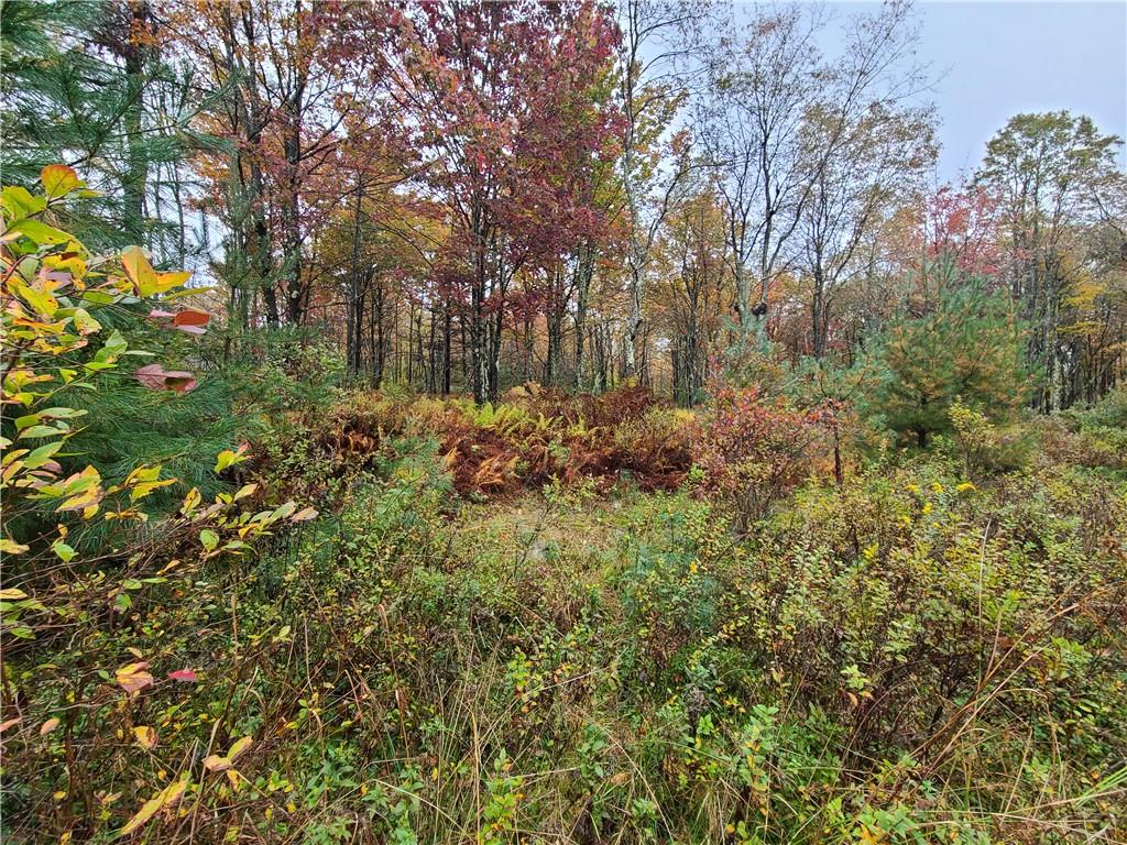 #9 photo, 116 Voss Road, Claryville , NY 12725