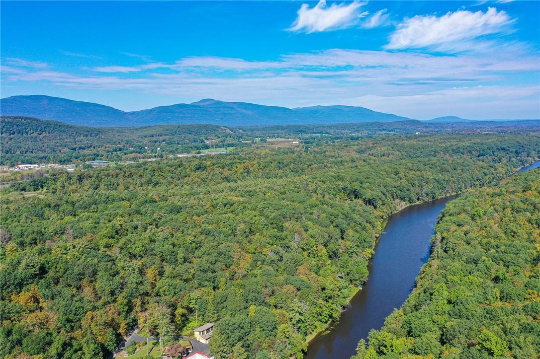 #2 photo, Tiger Maple, Saugerties , NY 12477