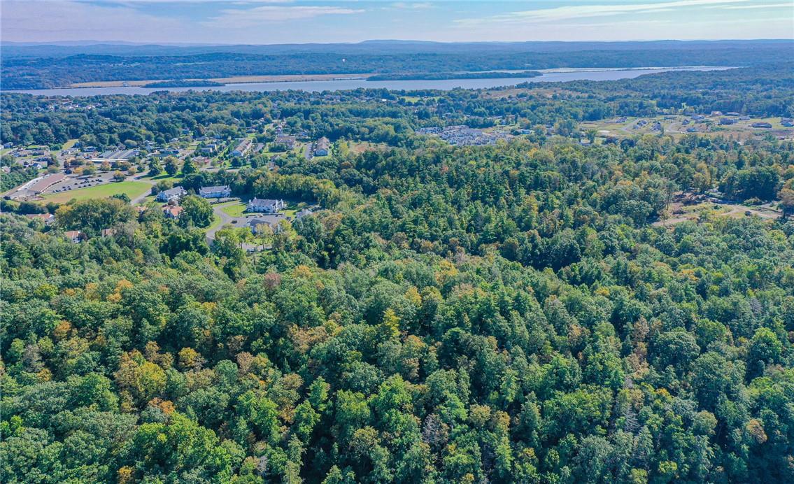 #3 photo, Tiger Maple, Saugerties , NY 12477