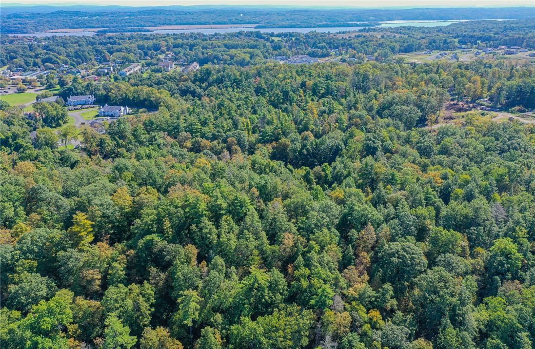 #4 photo, Tiger Maple, Saugerties , NY 12477