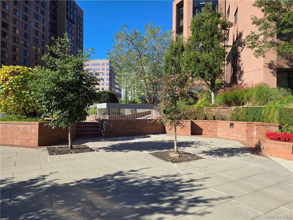 #2 photo, 34 South Lexington, White Plains , NY 10606