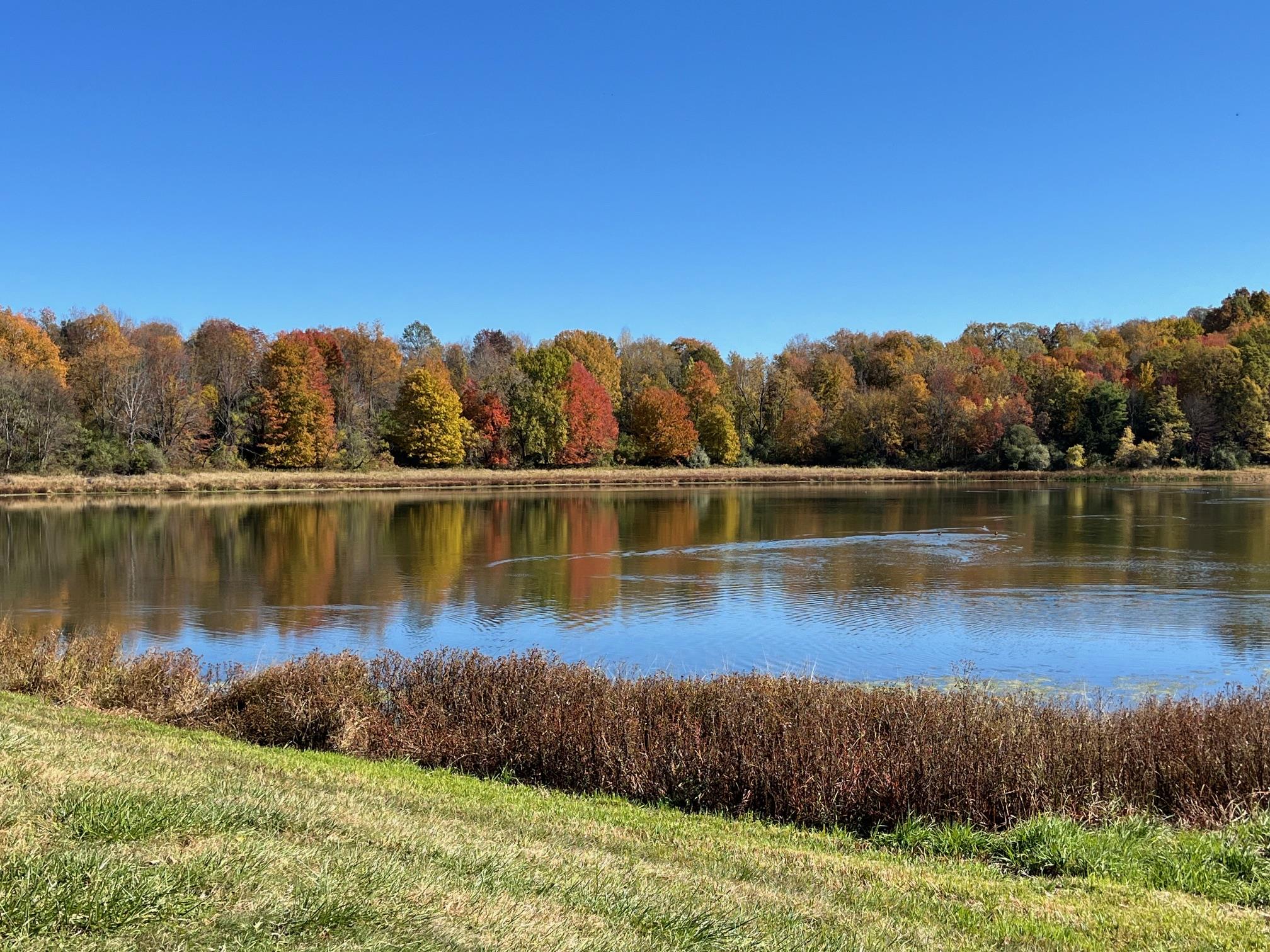 #11 photo, Woodward Hill,Stissng Mount, Hicks Hill, Route 199, Pine Plains , NY 12567