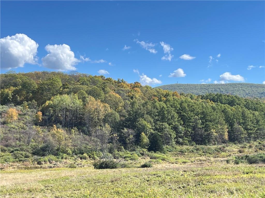 #13 photo, Woodward Hill,Stissng Mount, Hicks Hill, Route 199, Pine Plains , NY 12567