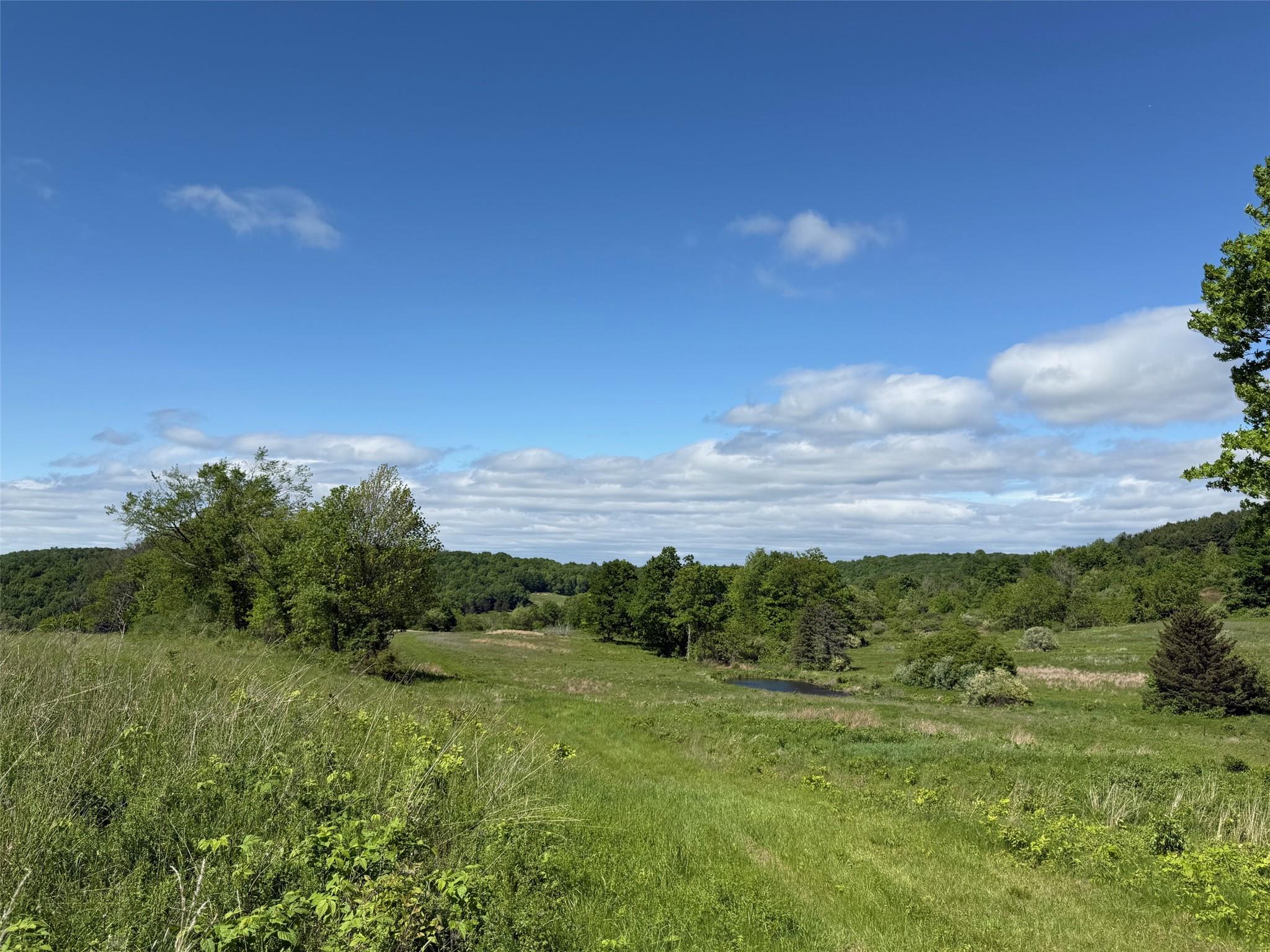 #17 photo, Woodward Hill,Stissng Mount, Hicks Hill, Route 199, Pine Plains , NY 12567