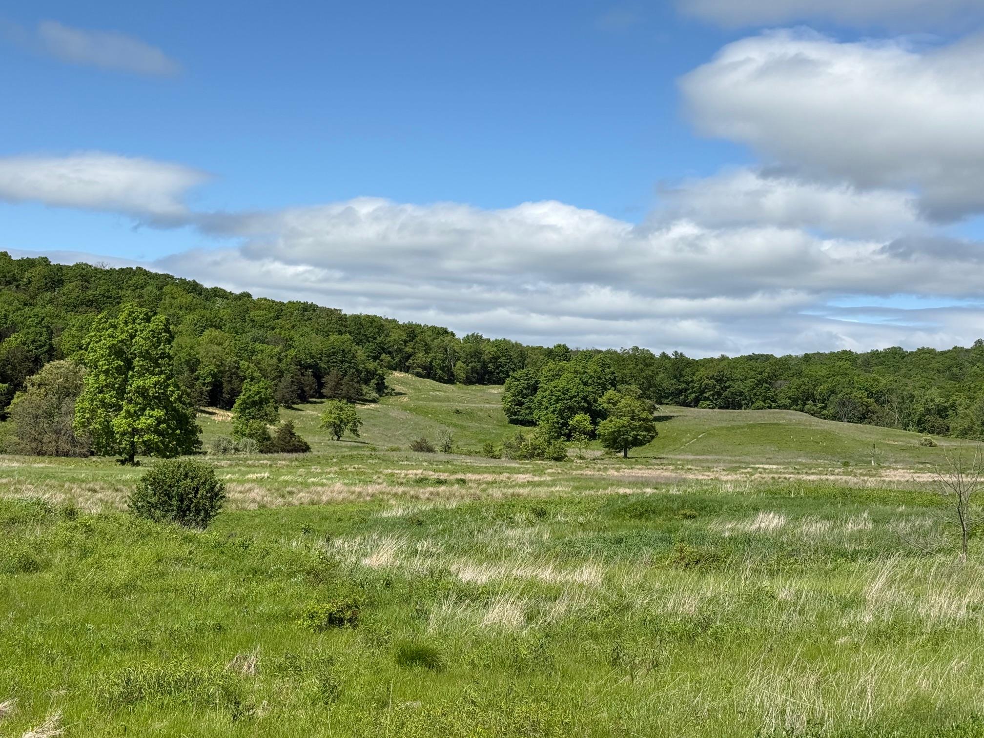 #18 photo, Woodward Hill,Stissng Mount, Hicks Hill, Route 199, Pine Plains , NY 12567