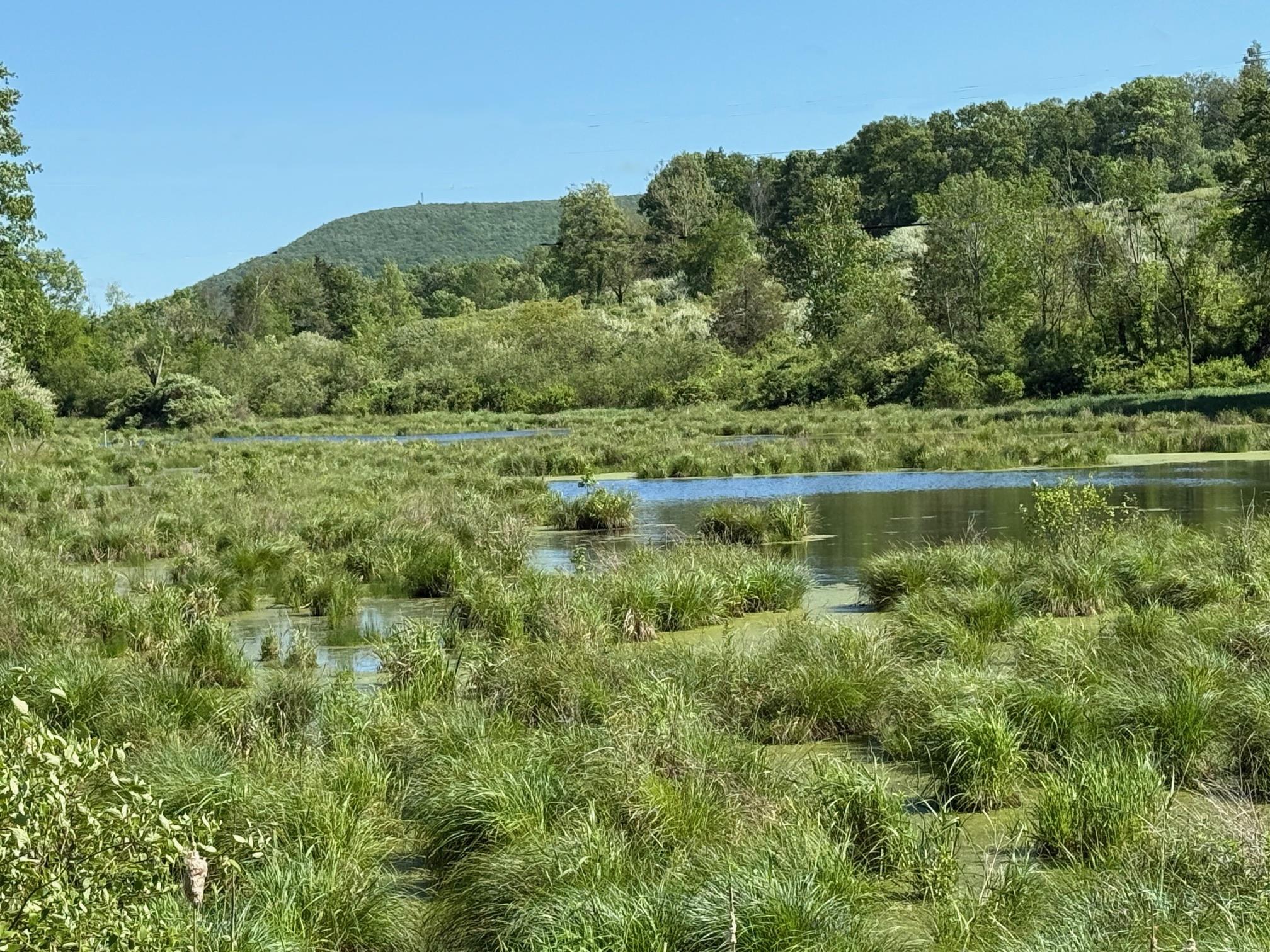 #19 photo, Woodward Hill,Stissng Mount, Hicks Hill, Route 199, Pine Plains , NY 12567