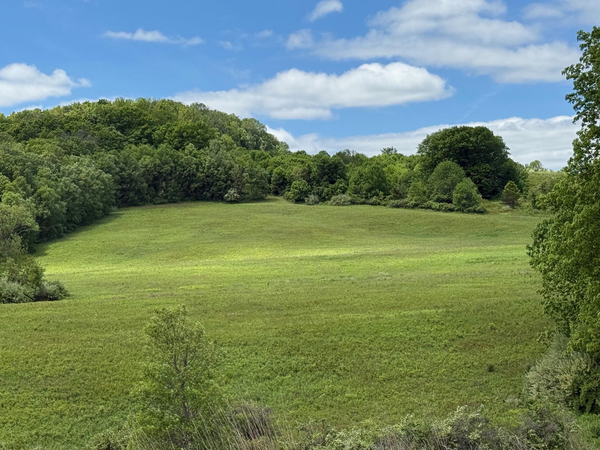 #2 photo, Woodward Hill,Stissng Mount, Hicks Hill, Route 199, Pine Plains , NY 12567