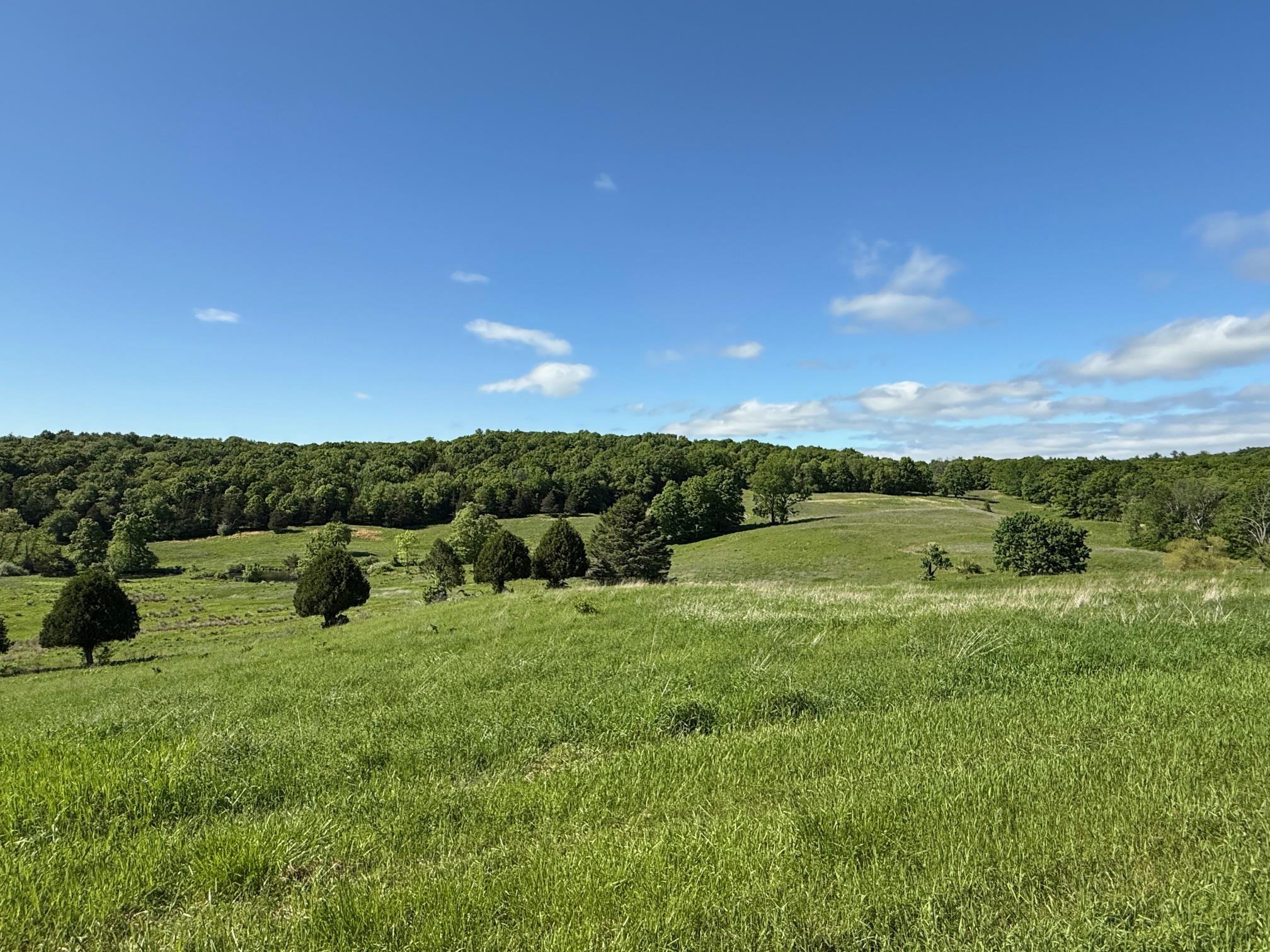 #20 photo, Woodward Hill,Stissng Mount, Hicks Hill, Route 199, Pine Plains , NY 12567