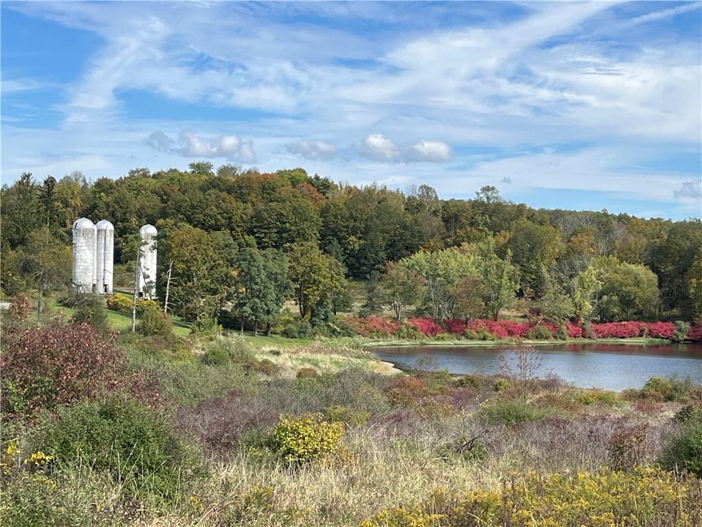 #4 photo, Woodward Hill,Stissng Mount, Hicks Hill, Route 199, Pine Plains , NY 12567