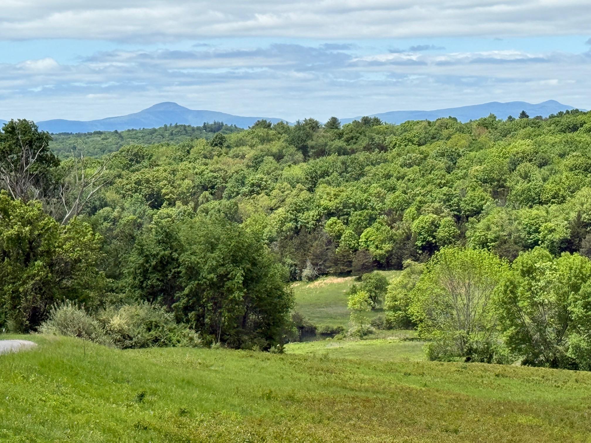 #8 photo, Woodward Hill,Stissng Mount, Hicks Hill, Route 199, Pine Plains , NY 12567