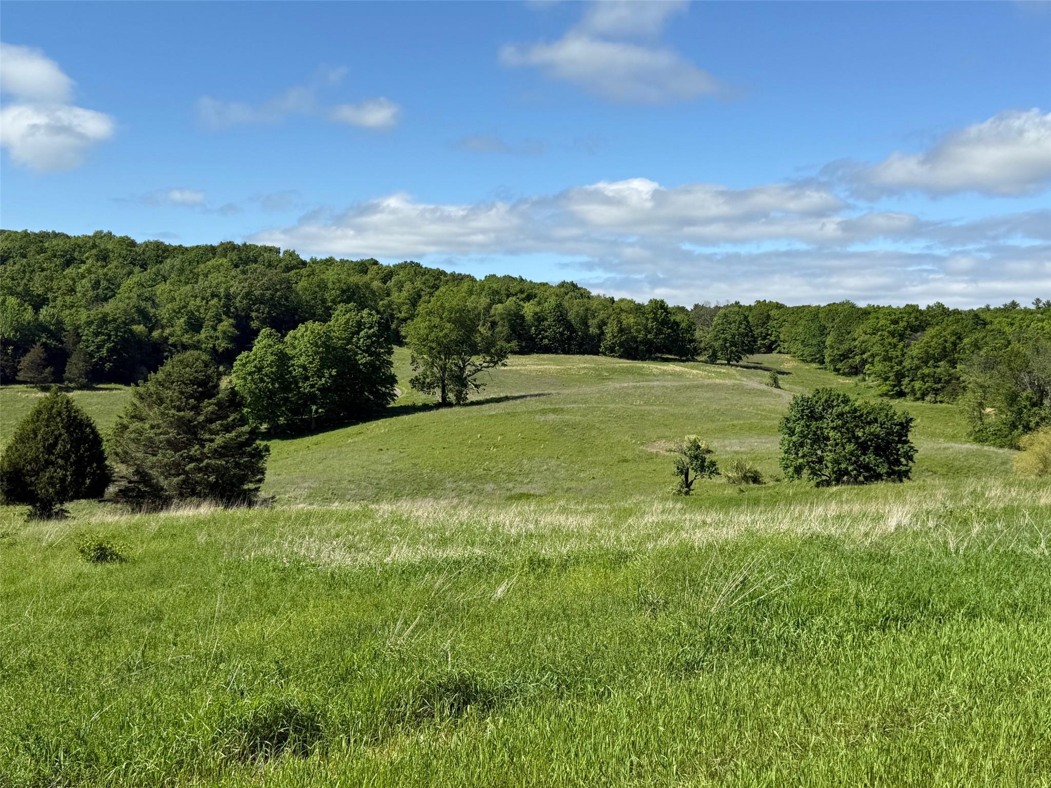 #9 photo, Woodward Hill,Stissng Mount, Hicks Hill, Route 199, Pine Plains , NY 12567