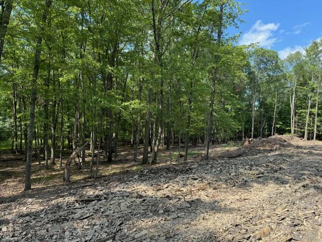 #13 photo, 8 Twin Oaks Drive, Campbell Hall , NY 10916