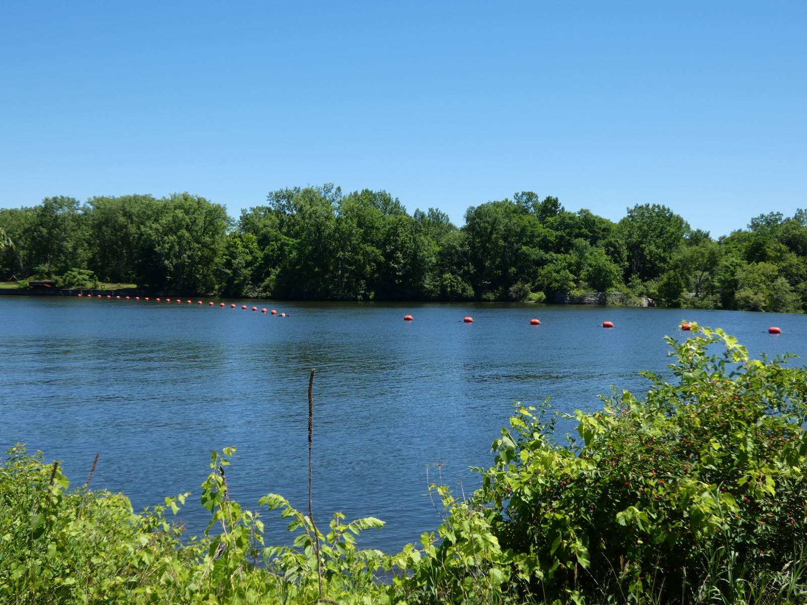 #3 photo, 232  Route 4 North, Schulyerville , NY 12871